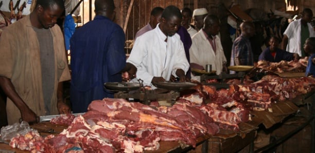 Baisse du prix du kg de viande : Les professionnels des abattoirs du Sénégal opposent leur veto aux mesures de Macky Sall