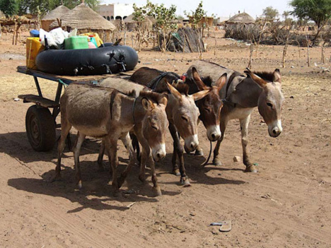 Ndiaram et Darou Salam sans eau: Les populations crient leur soif...