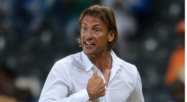 Côte d’Ivoire: Renard nommé sélectionneur