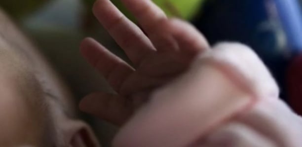 Infanticide aux Parcelles Assainies: les chiens emportent une partie du corps du nouveau-né