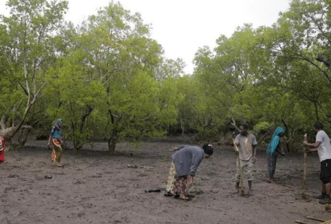 COP27 : L’Afrique demande plus d’argent pour la compensation carbone