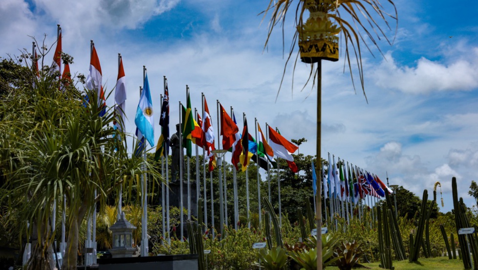 17e session du sommet du G20 en Indonésie: " L’Afrique veut un siège permanent, pas être une invitée permanente"
