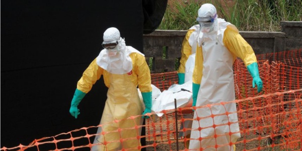 Ebola : le "patient zéro" a été identifié