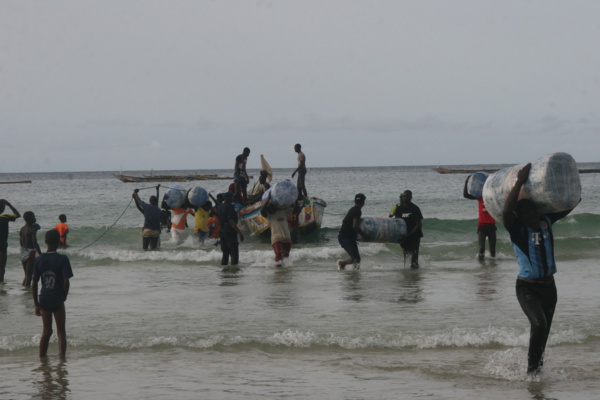 Les gendarmes mettent la main sur 12 ballots contenant 640kg de chanvre indien. Photo de Actusen.com