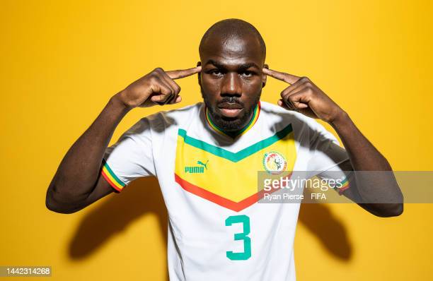 Photos : Les "Lions" posent avec les nouveaux maillots