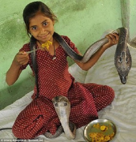 « Les serpents venimeux sont mes meilleurs amis » déclare une jeune fille indienne