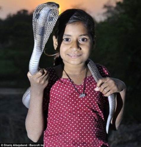 « Les serpents venimeux sont mes meilleurs amis » déclare une jeune fille indienne