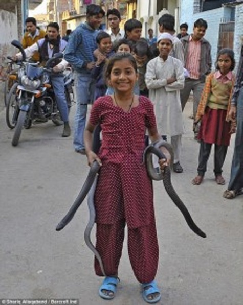 « Les serpents venimeux sont mes meilleurs amis » déclare une jeune fille indienne