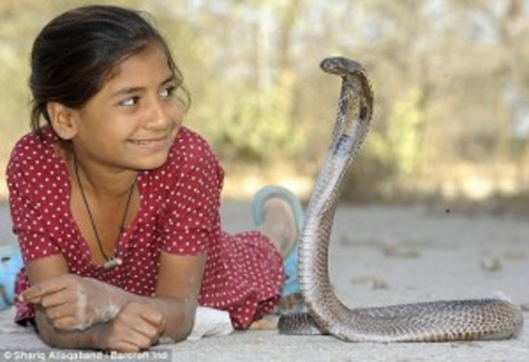 « Les serpents venimeux sont mes meilleurs amis » déclare une jeune fille indienne