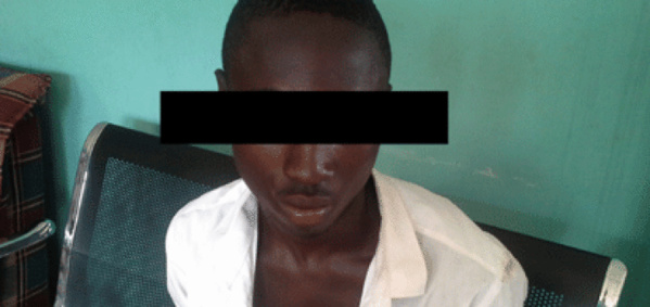« J’ai eu des relations sexuelles avec 5 chiens » : Le nigérian de 18 ans passe aux aveux après son arrestation