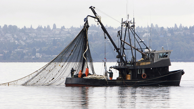 Subventions de la pêche: L’accord en gestation de l’Omc exposé