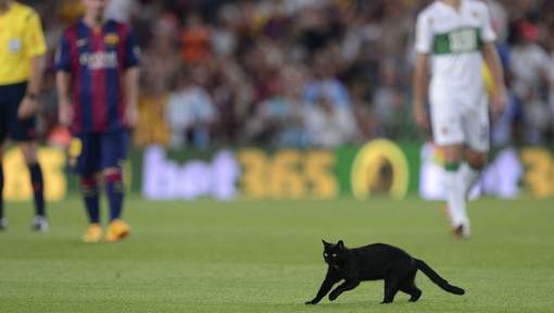 Photos-Les « Xons » du Barça: Un chat noir au Camp Nou