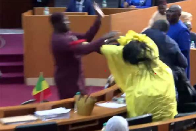 Une députée enceinte frappée en pleine séance à l'Assemblée nationale, par deux députés fanatiques (Aliou Ndao Fall)