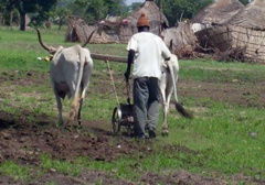 Cri du cœur pour le monde rural - Par Cheikh Fatma Mbacké