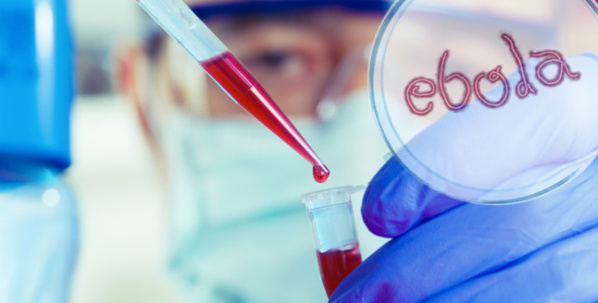 Ebola : le mensonge généralisé