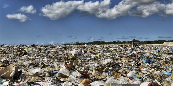 Forêt classée de Mbao et décharge de Mbeubeuss : Les députés Bara Gaye et Fatou Sow haussent le ton