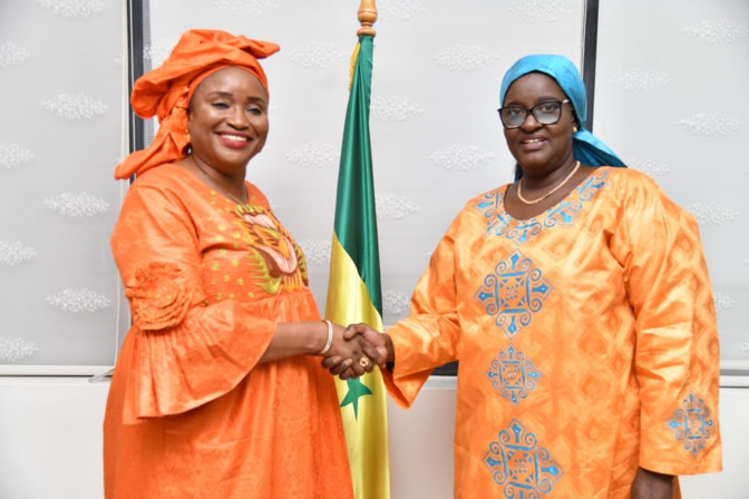 Dr. Marie Khémesse Ngom Ndiaye a rencontré l'AFCMP, pour discuter des axes stratégiques du PNDSS