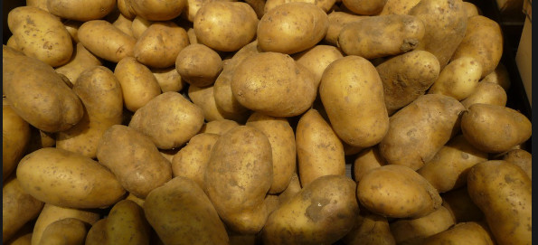 Vente de pommes de terre impropres à la consommation entre Pikine et Keur Massar: Deux individus placés en garde-à-vue Vente de pommes de terre impropres à la consommation entre Pikine et Keur Massar: Deux individus placés en garde-à-vue