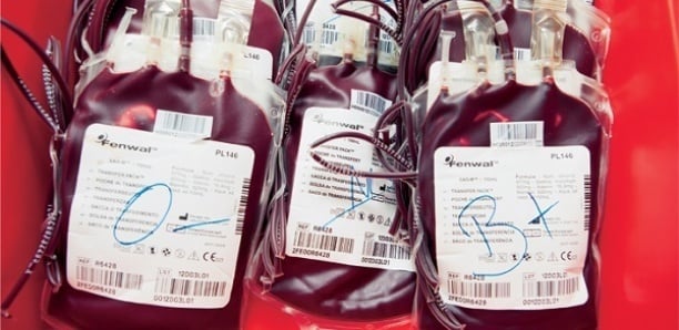 Don de sang a l'hopital de Kaffrine : 294 poches déjà collectées et plus de 70 à l'hôpital de Kaolack