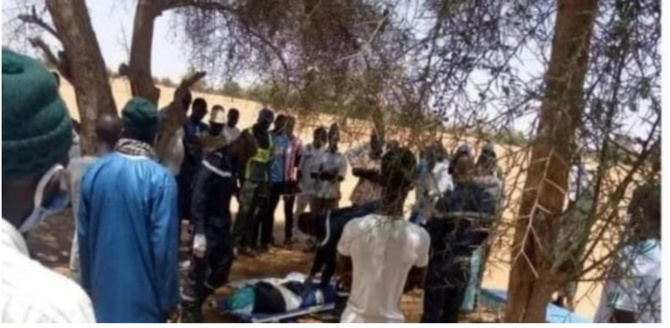 Drame à Vélingara: Un homme tombe d’un arbre et meurt…
