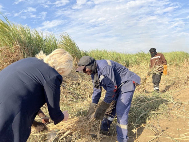 Marine Le Pen parle de l'importance de la CSS : "Elle contribue au rayonnement économique du Sénégal..." Marine Le Pen parle de l'importance de la CSS : "Elle contribue au rayonnement économique du Sénégal..."