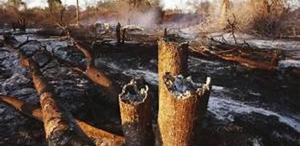 Ranch de Dolly : Un feu de brousse a ravagé 1 955 hectares