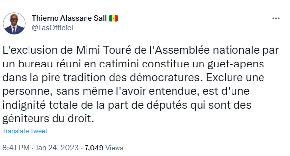 Exclusion de Mimi Touré : Thierno Alassane Sall s’indigne et parle d’un guet-apens