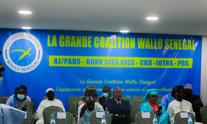 Assemblée nationale : C’est la Coalition Wallu qui a « tué » Mimi Touré ! 