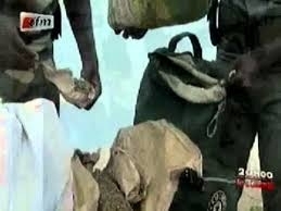 Vélingara : un trafiquant de chanvre indien arrêté à Linkéring par des agents de sécurité de proximité