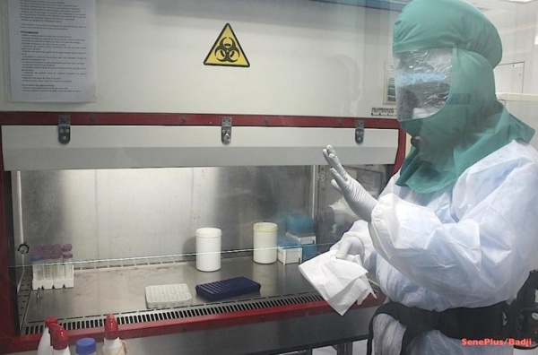 Ebola, un virus anti-intégration