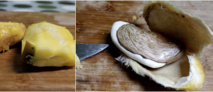 Le noyau de la mangue : excellent pour se débarrasser des vers intestinaux