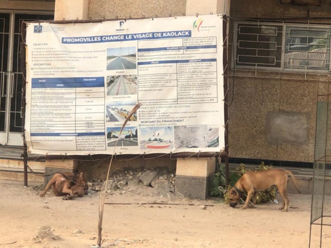 Kaolack : La mairie de Serigne Mboup assiégée