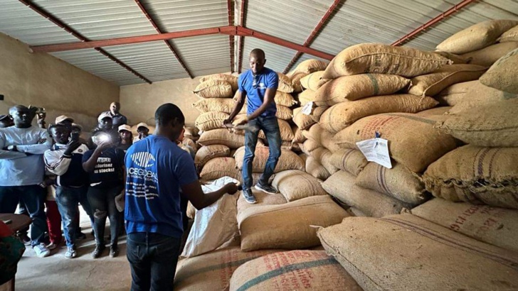 Photos/ Sédhiou: Abdou Karim Fofana s'engage à soutenir la filière anacarde