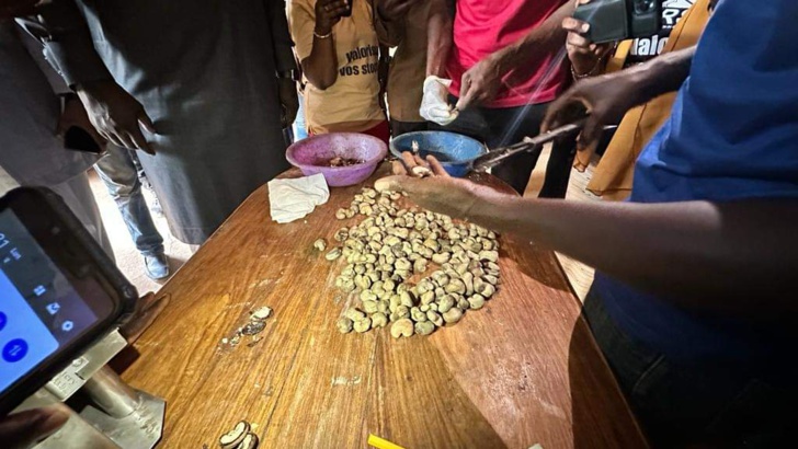 Photos/ Sédhiou: Abdou Karim Fofana s'engage à soutenir la filière anacarde