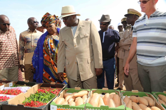 Baba Diao Itoc accueille le Président à sa ferme de Diama où l'agriculture et l'élevage sont bien combinés