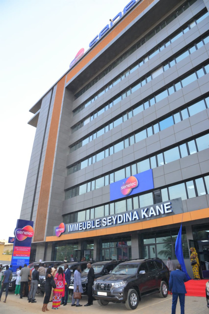 Photos / Senelec: Pape Mademba Bitèye immortalise Seydina Kane, ancien Directeur général