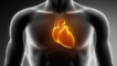 Crise cardiaque : quelques habitudes de vie simples permettraient de l'éviter