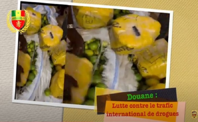 Douane : Un bus arrêté avec des sacs d’oranges où une quantité importante de drogue était cachée…