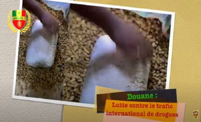 Douane : Un bus arrêté avec des sacs d’oranges où une quantité importante de drogue était cachée…