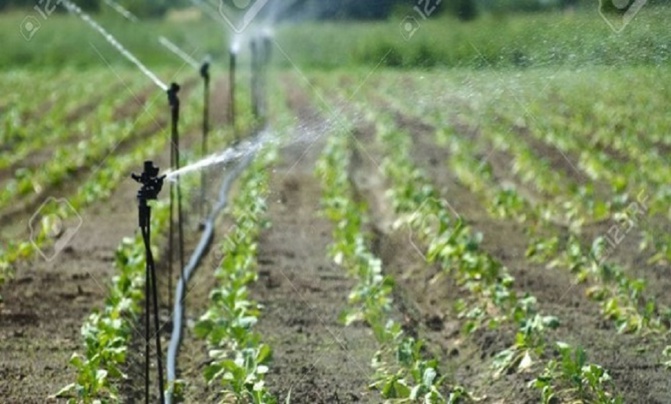 Accès à l’eau : Le Fida plaide pour des investissements en faveur des exploitations familiales