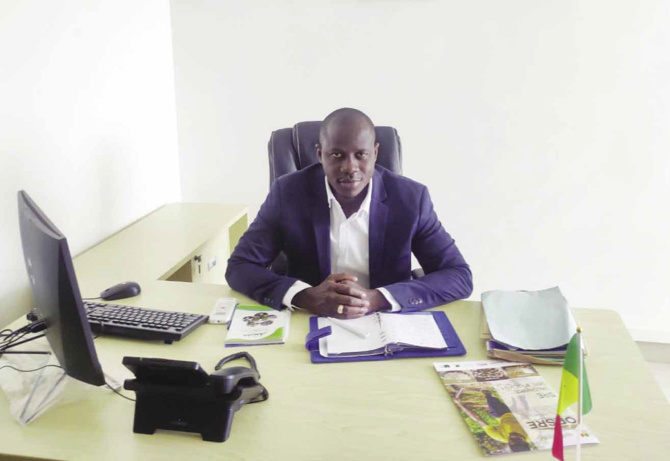 Wandifa Dramé, conseiller spécial du Président : «Ceux qui pensent qu’il ne peut pas briguer un 2e quinquennat, font une interprétation erronée de la Constitution»