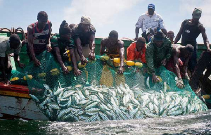 Recul des prises de la pêche : le secteur artisanal en sauveur