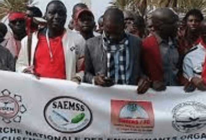 Arrestations d’enseignants et lenteurs dans la mise en œuvre des accords : Le Samess préconise une mobilisation syndicale