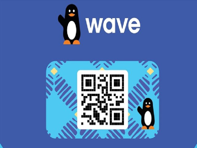 Saraya : Plus d’une trentaine de comptes Wave vidés par des arnaqueurs
