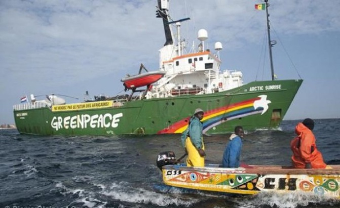 Altercations entre pêcheurs à Cayar :  Greenpeace appelle au calme