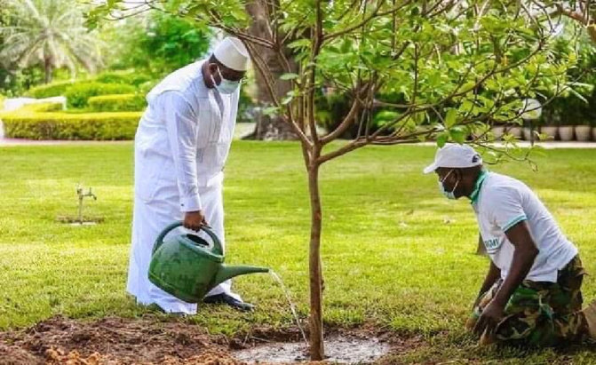 Forte canicule à Tambacounda : Le gouverneur invite chaque jeune à planter un arbre
