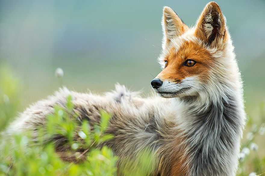 En plein cercle arctique, un mineur russe a profité de ses pauses pour réaliser des photos époustouflantes ! Vraiment très fort...