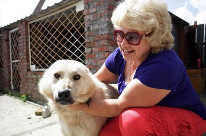 Ce que ce chien a fait par instinct pour protéger la maison de ses maîtres est inimaginable ! Vraiment touchant...