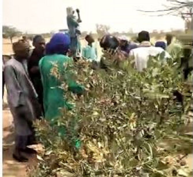 Litige foncier à Thiénaba : Bataille rangée entre exploitants agricoles et un promoteur privé