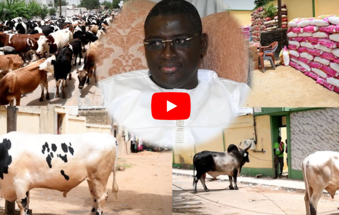 Rappel à Dieu du très sérieux directeur de l'Urbanisme Oumar Sow : Un homme discret et dévoué s'en va Rappel à Dieu du très sérieux directeur de l'Urbanisme Oumar Sow : Un homme discret et dévoué s'en va